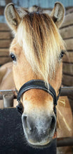 Load image into Gallery viewer, Custom padded leather halter