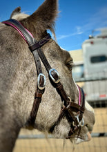 Load image into Gallery viewer, Custom Color Padded sidepull