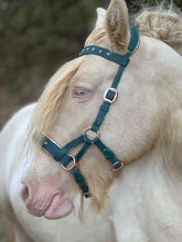 Load image into Gallery viewer, Copper patina padded bitless bridle