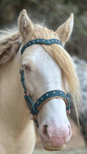 Load image into Gallery viewer, Copper patina padded bitless bridle