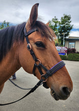 Load image into Gallery viewer, Custom Color Padded sidepull