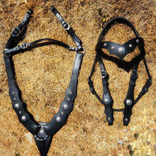 Load image into Gallery viewer, Medieval bridle set