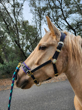 Load image into Gallery viewer, Lunging & riding Cavesson