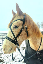 Load image into Gallery viewer, Bitless cross-over bridle with antique brass dragon