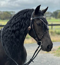 Load image into Gallery viewer, Black Winter Wonderland Baroque cross-over bit bridle