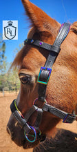 Load image into Gallery viewer, Mini Horse Padded Sidepull Bitless Bridle