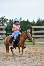 Load image into Gallery viewer, Mini Horse Padded Sidepull Bitless Bridle
