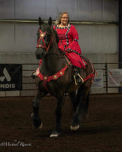 Load image into Gallery viewer, Consultation for a custom Bridle, Breast Collar, halter, or Bitless Bridle