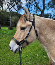 Load image into Gallery viewer, Rainbow padded bitless sidepull bridle