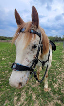 Load image into Gallery viewer, Tidal Protector Bridle