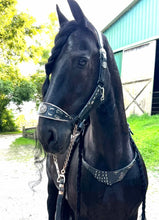 Load image into Gallery viewer, Padded silver dragon halter