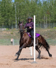 Load image into Gallery viewer, Purple Passion Fantasy Gem bit bridle
