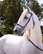 Load image into Gallery viewer, Spanish Presentation show halter