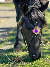 Load image into Gallery viewer, Euphoria Color shift cross-over Gem bridle