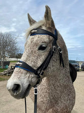 Load image into Gallery viewer, Padded baroque bit bridle