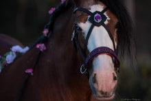 Load image into Gallery viewer, Consultation for a custom Bridle, Breast Collar, halter, or Bitless Bridle