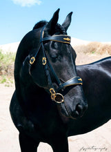 Load image into Gallery viewer, Padded baroque bit bridle
