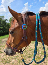 Load image into Gallery viewer, Rainbow hardware leather halter