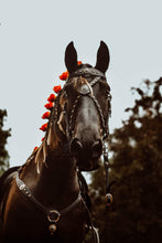 Load image into Gallery viewer, Black Winter Wonderland Baroque cross-over bit bridle
