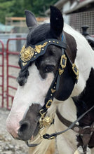 Load image into Gallery viewer, Consultation for a custom Bridle, Breast Collar, halter, or Bitless Bridle