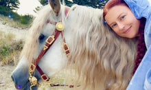 Load image into Gallery viewer, Consultation for a custom Bridle, Breast Collar, halter, or Bitless Bridle