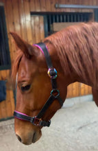 Load image into Gallery viewer, Custom padded leather halter