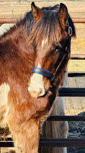 Load image into Gallery viewer, Custom padded leather halter