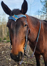 Load image into Gallery viewer, Dragonfly bit bridle set