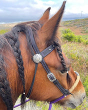 Load image into Gallery viewer, Purple/black rope rawhide hackamore with silver