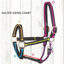 Load image into Gallery viewer, Custom padded leather halter