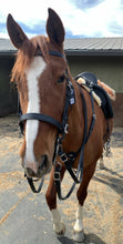 Load image into Gallery viewer, Working equitation bridle