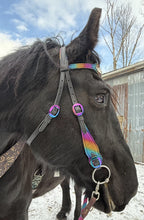 Load image into Gallery viewer, Pegasus Prism Bit bridle