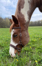 Load image into Gallery viewer, Traditional bitless sidepull bridle