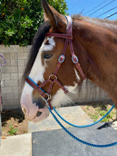 Load image into Gallery viewer, Custom Color Padded sidepull