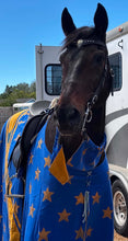 Load image into Gallery viewer, Elko Shield Bridle