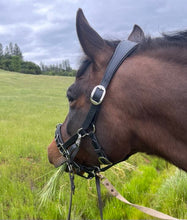 Load image into Gallery viewer, Lunging & riding Cavesson