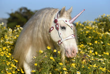 Load image into Gallery viewer, Consultation for a custom Bridle, Breast Collar, halter, or Bitless Bridle