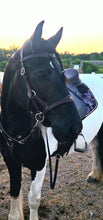 Load image into Gallery viewer, Portuguese style padded Bitless sidepull