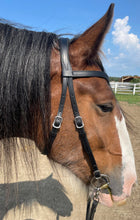 Load image into Gallery viewer, Draft sized Padded English bit bridle