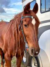 Load image into Gallery viewer, Elko Shield Bridle