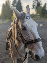 Load image into Gallery viewer, Sweetheart in Harness Bridle set