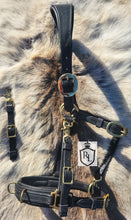 Load image into Gallery viewer, Lunging & riding Cavesson