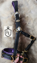 Load image into Gallery viewer, Lunging & riding Cavesson