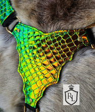 Load image into Gallery viewer, Halodragon bridle