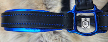 Load image into Gallery viewer, Padded sparkle halter