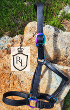 Load image into Gallery viewer, Rainbow hardware leather halter