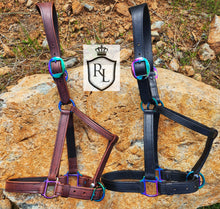 Load image into Gallery viewer, Rainbow hardware leather halter