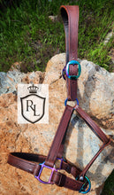 Load image into Gallery viewer, Rainbow hardware leather halter