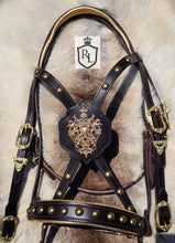 Load image into Gallery viewer, Heritage Bridle #1