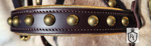Load image into Gallery viewer, Heritage Bridle #1